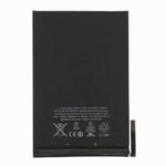 IPAD MINI BATTERY ORG